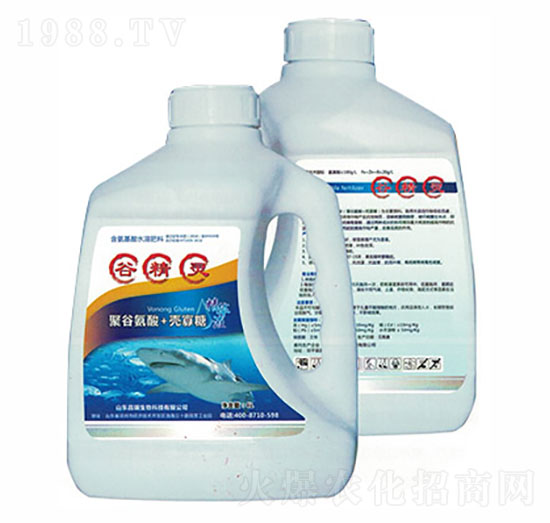 谷精靈-山東昌瑞