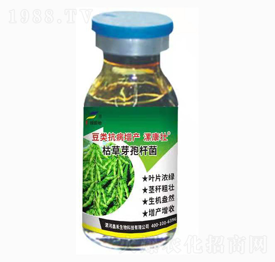 豆類抗病增產(chǎn)專用（枯草芽孢桿菌）-漯康壯