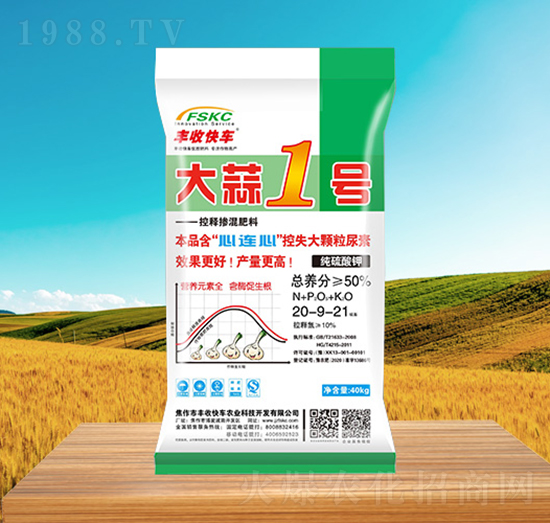 大蒜1號20-9-21-豐收快車