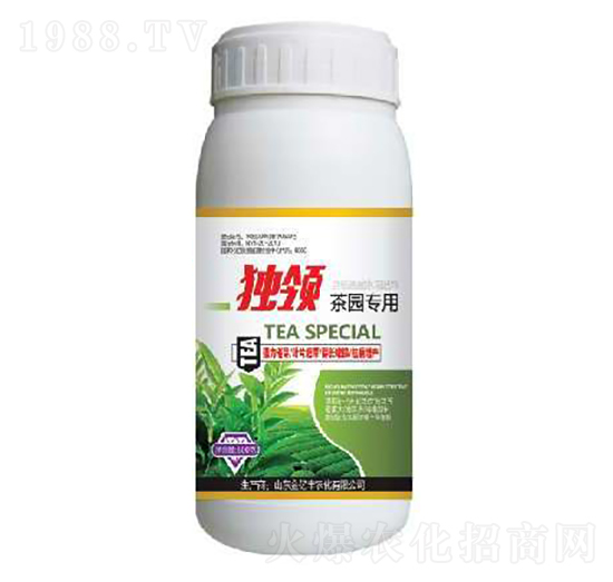 ��@����-���I(l��ng)-���|�S