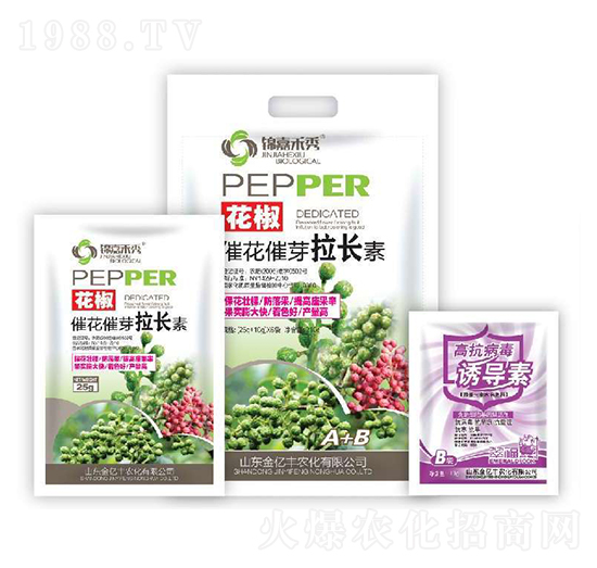 �����߻���ѿ���L��+�߿������T����-���|�S