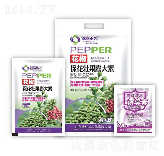 ���������ѹ������+�߿������T����-���|�S