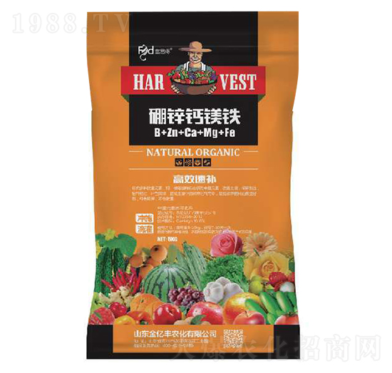 ���\�}�V�F-���|�S