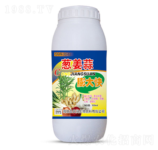 蔥姜蒜膨大快-圣氏潤