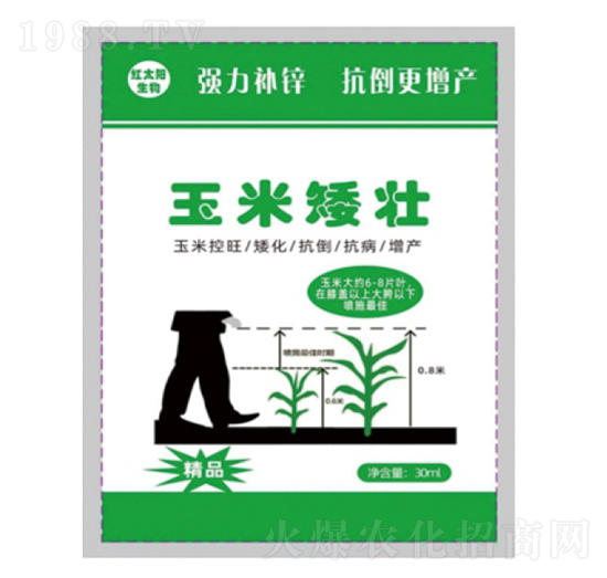 ���װ��ѣ����׿������������������a(ch��n)��-��������