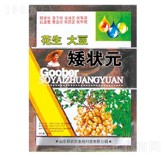 �����󶹌���-����Ԫ-��������