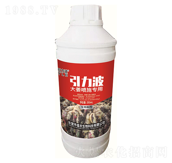 大姜噴施專用-引力波-星農(nóng)生物