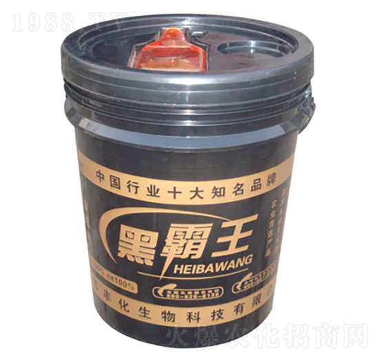 黑霸王1號(hào)-豐化