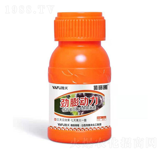 勁膨動力-苗麗圃-雅夫化工