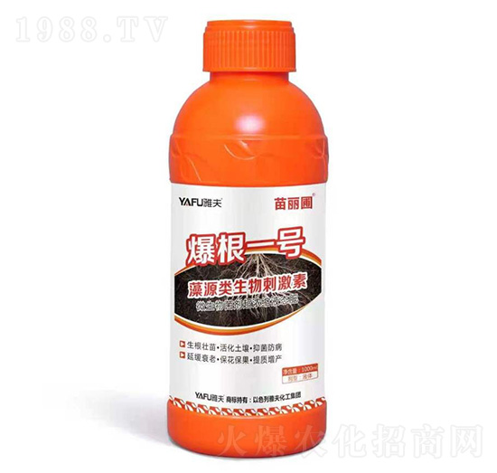 藻源類生物刺激素-爆根一號-苗麗圃-雅夫化工