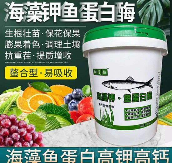 海藻鉀魚(yú)蛋白酶-加美拉