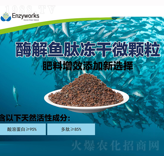 酶解魚(yú)肽凍干微顆粒-中肽生物