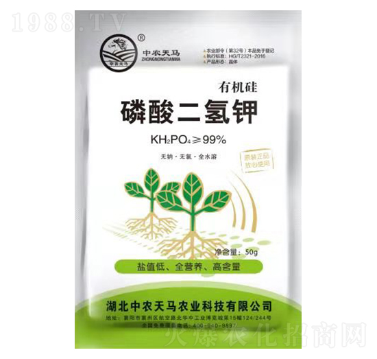 50g�ЙC(j��)����������-���r(n��ng)���R