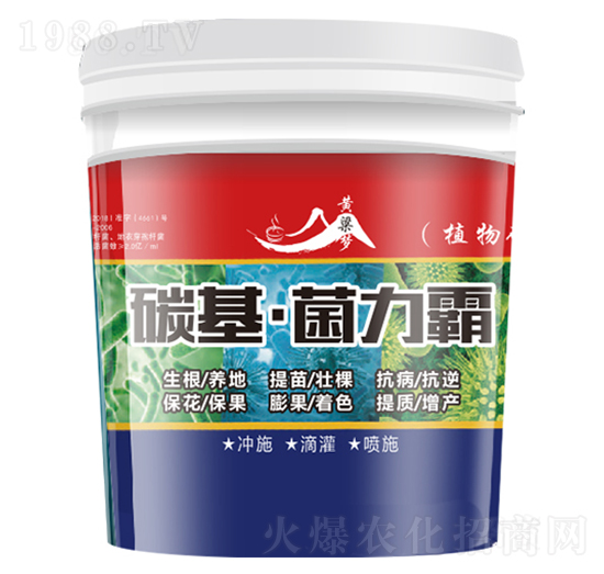 ̼����������-�S����-�����r�I(y��)