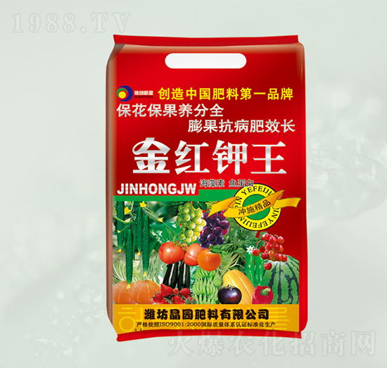 �������~����-��t���-���@����