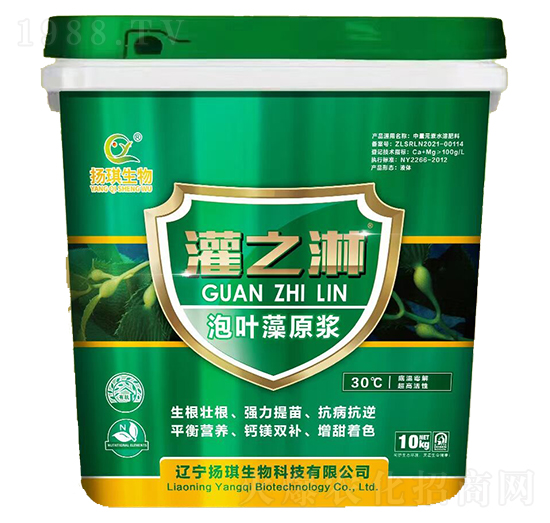 泡葉藻原漿-灌之淋-揚琪生物