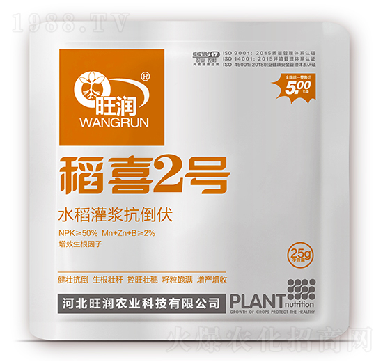 水稻灌漿抗倒伏-稻喜2號(hào)-旺潤(rùn)農(nóng)業(yè)