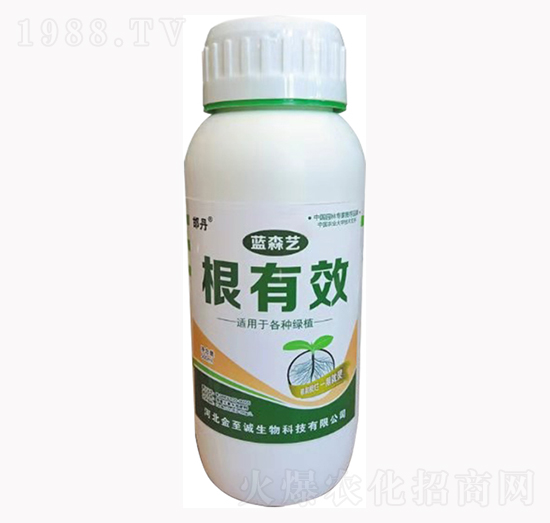根有效-藍(lán)森藝-金至誠(chéng)