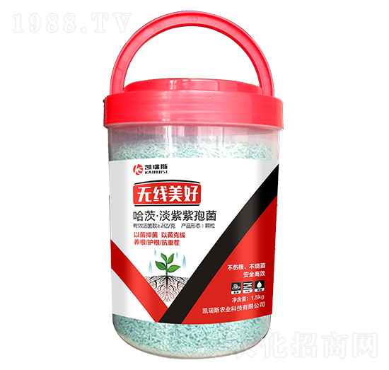 ���ġ��������߾�-�o������-�P��˹