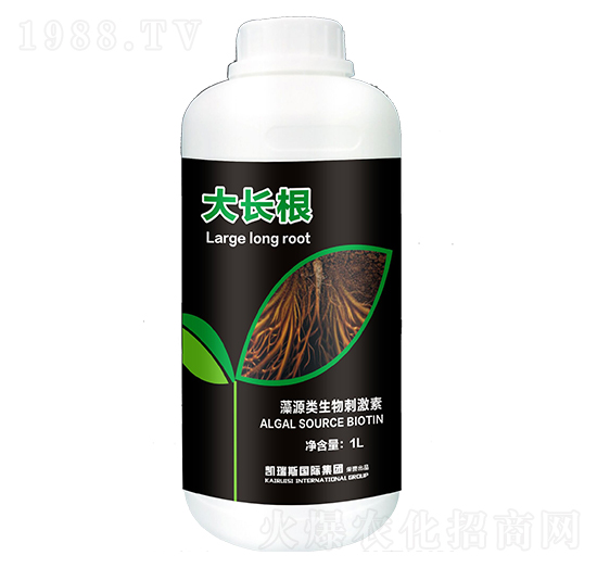 ��Դ�����̼���-���L(zh��ng)��-�P��˹