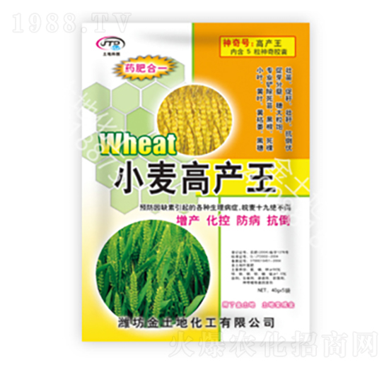 小麥高產王-金土地