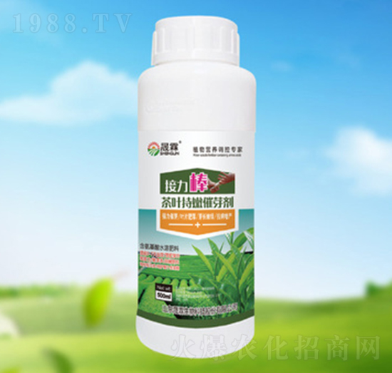 茶葉持嫩催芽劑-晟霖生物