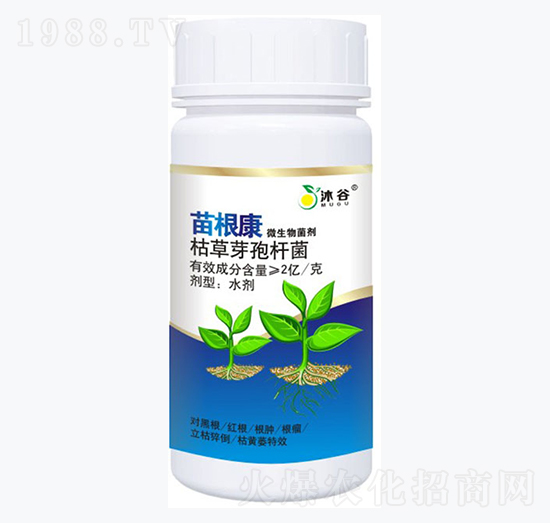 枯草芽孢桿菌-苗根康-沐谷生物