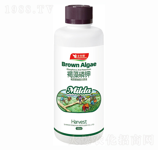 褐藻寡糖復(fù)合原液-褐藻磷鉀-豐華肥業(yè)