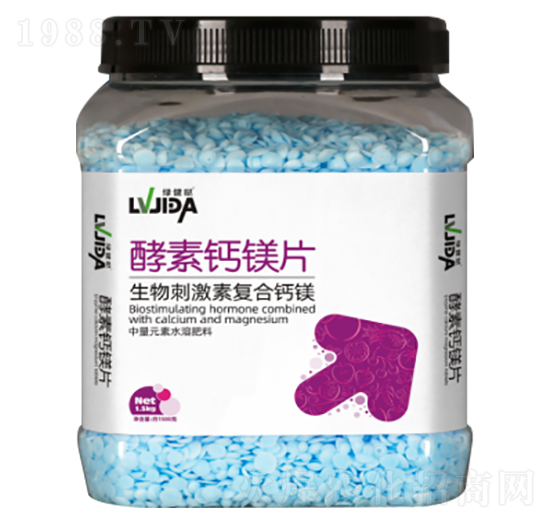 �����}�VƬ-�G���}-������