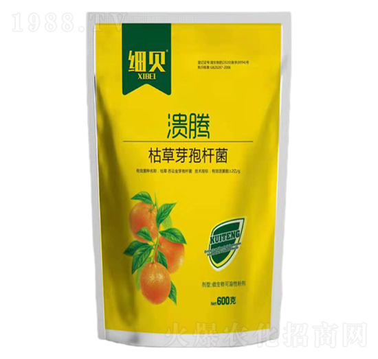 枯草·芽孢桿菌-潰疼-細(xì)貝-豆本豆