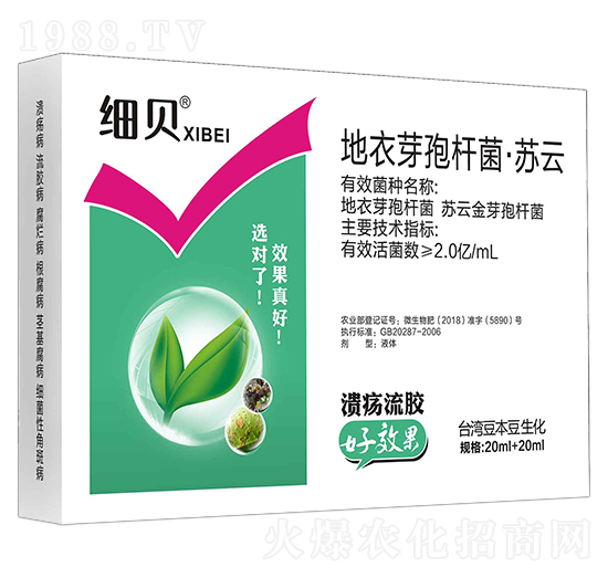 地衣芽孢桿菌·蘇云-細(xì)貝-豆本豆