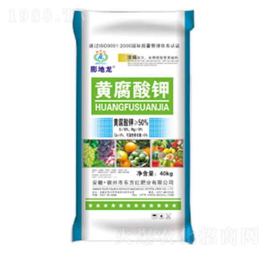 �S�����-�����-�|���t