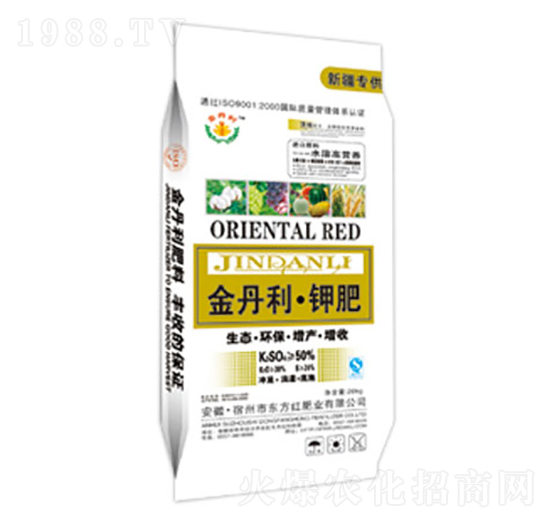 ������⛷�-�|���t