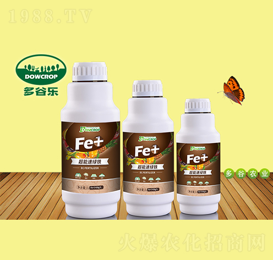 超能速綠鐵-多谷樂