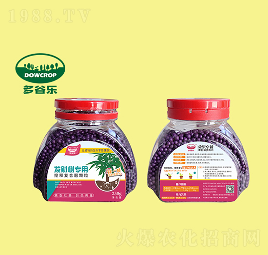 發(fā)財(cái)樹專用肥-多谷樂