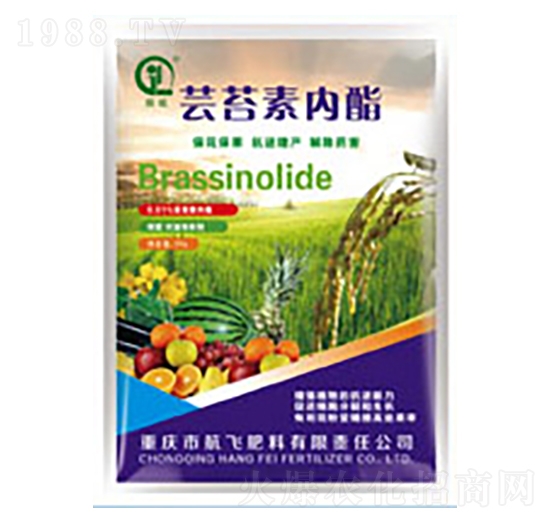 蕓苔素內(nèi)酯-白市化工