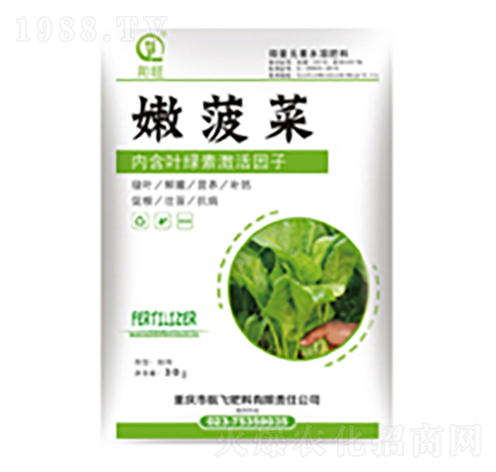 嫩菠菜-白市化工