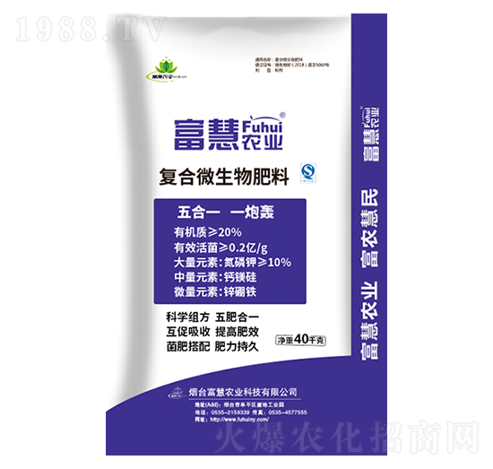 �ͺ�΢�������-����