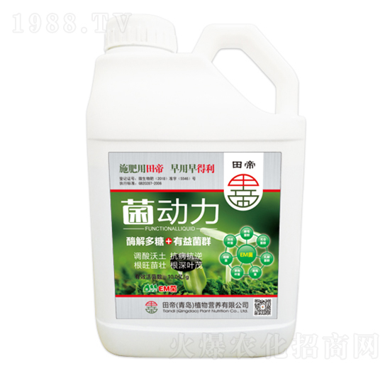 ������-���