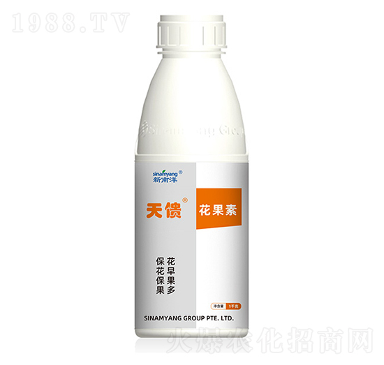 天饋·花果素-新南洋