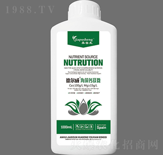 � ��������}�V΢-������-��˼�D