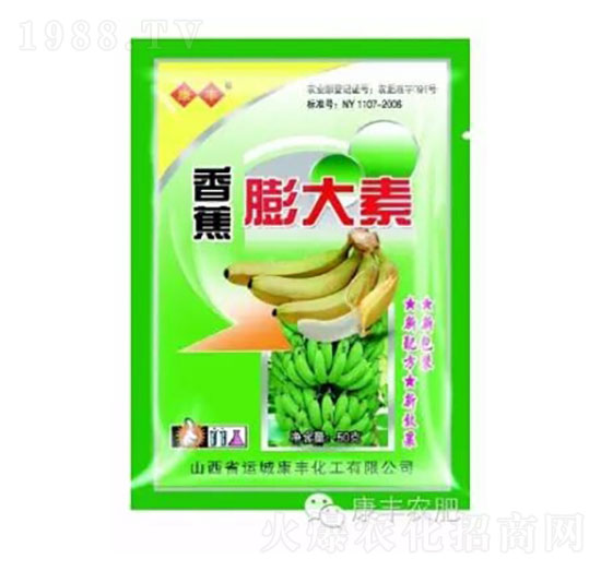 �㽶�����-���S�r(n��ng)��