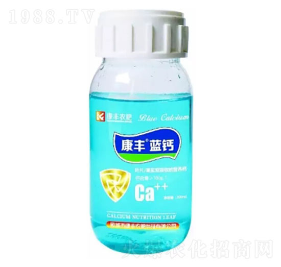 ���S�{(l��n)�}-���S�r(n��ng)��