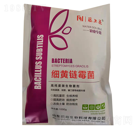 細(xì)黃鏈霉菌-藤上花-恒有生物