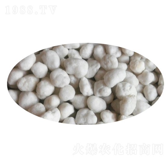 氨化造粒復合肥顆粒-田壯源肥業(yè)