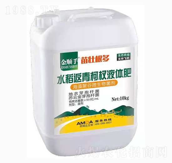 水稻返青柯杈液體肥-阿姆達