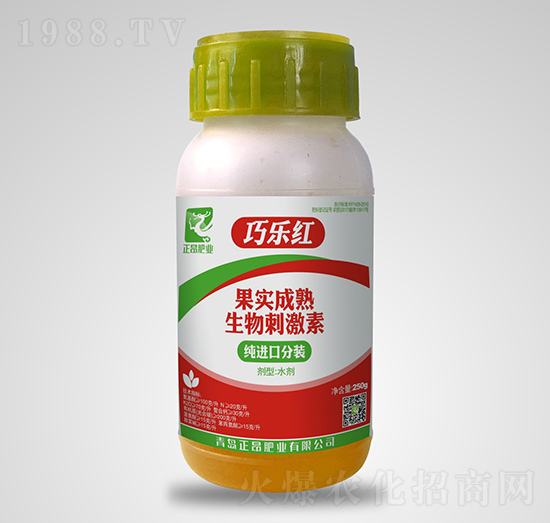 果實(shí)成熟生物刺激素-巧樂紅-正昂肥業(yè)
