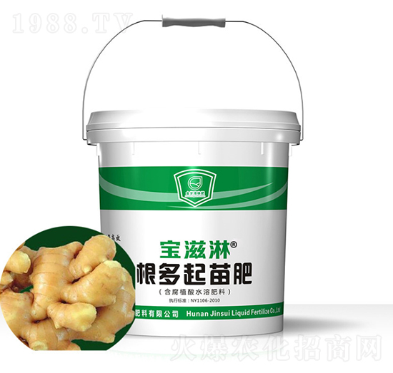 大姜專(zhuān)用根多起苗肥-寶滋淋-金歲液體肥