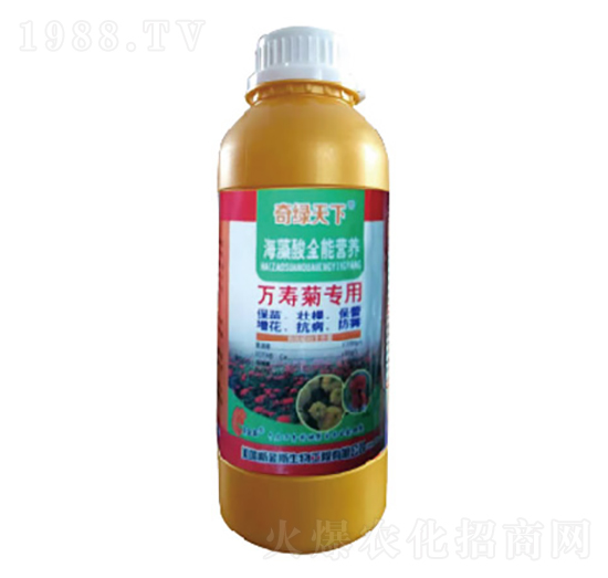 萬壽菊專用海藻酸營養(yǎng)液-奇綠天下-中根生物