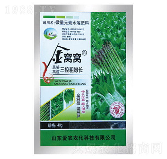 萵筍萵苣三控粗嫩長-金窩窩-中根生物